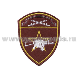 Шеврон вышит. Росгвардия Северо-Западный ВО (Спецназ)