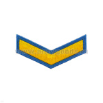 Курсовка вышит. 1 курс (голуб.)