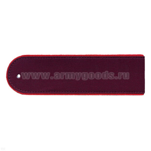 Погоны Роспотребнадзор (длина 14 см) чистые