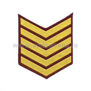 Курсовка пластизол. 5 курс (крапов.) галочка