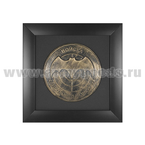 Эмблема в рамке настенная Войска специального назначения