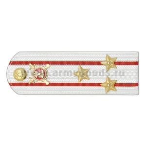 Погоны Полиции (ОВД) на белую рубашку (без канта), укомпл. мет. фурнитурой (полковник) пластик