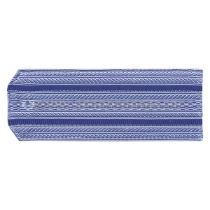 Погоны голуб. 2 вас. пр. (ФСБ нов/обр руб.) на пластике