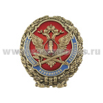 Значок мет. ФСИН (овал с накладкой, латунь, хол.эм.) на закрутке